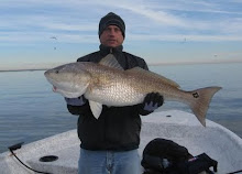 Galveston Fishing